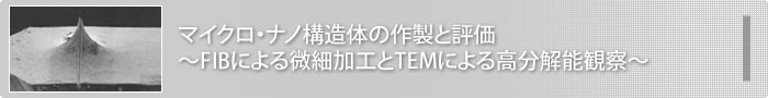 マイクロ・ナノ構造体の作製と評価　～FIBによる微細加工とTEMによる高分解能観察～