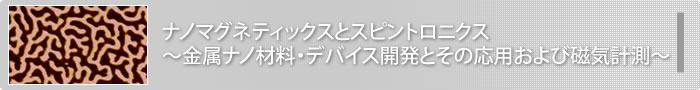 ナノマグネティックスとスピントロニクス　～金属ナノ材料・デバイス開発とその応用および磁気計測～